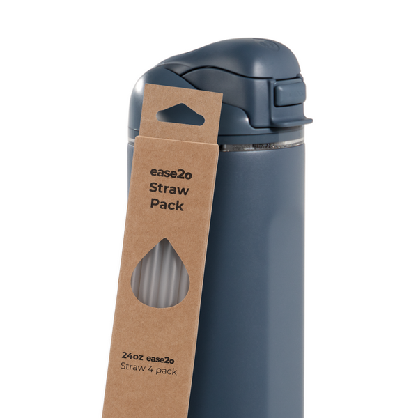 Ease2o Straws 4 Pack 24oz PAVO
